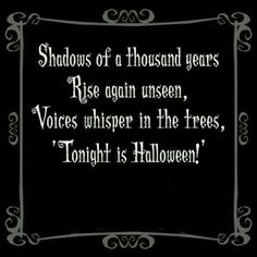 Vintage Halloween Images, Samhain Halloween, Halloween Memes, All Hallows Eve, Halloween Quotes, Halloween Images, A Thousand Years, Halloween Inspiration