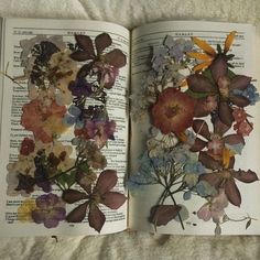 ⋆���𐙚₊˚⊹♡ Baba Jaga, Arte Sketchbook, Pressed Flowers, Pretty Flowers, Pretty Pictures, Dream Life, Hogwarts, Sake