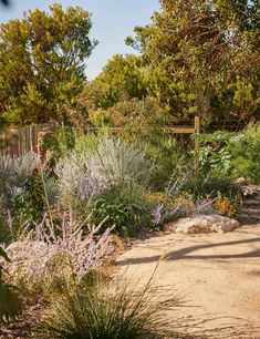 a dirt path surrounded by trees and plants