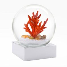 an orange coral in a glass ball on a white base