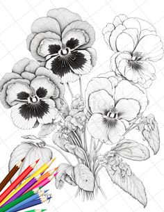 a drawing of flowers with colored pencils next to it