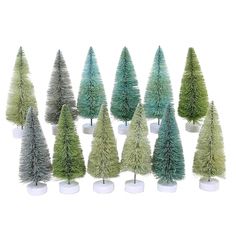 a group of small trees sitting next to each other on top of a white table