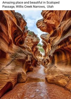 an image of a narrow canyon with water running through it and the caption reads amazing place and beautiful in scape passage willis creek narrowss, utah