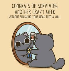 an image of a cat looking at its own self in the mirror with caption that reads, congrats on surviving another crazy week without smashing your head into a wall