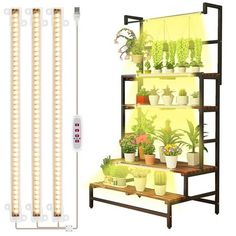 an image of a plant stand with plants on it and thermometer attached to it