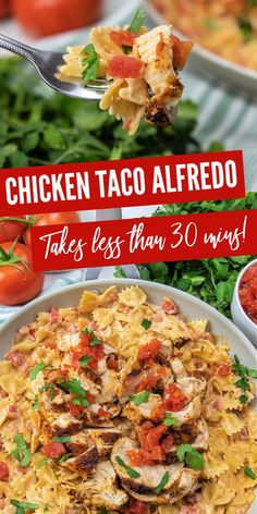 chicken taco alfredo on a fork with tomatoes and parsley