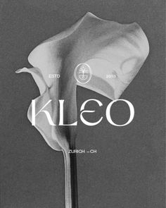 a black and white photo of a flower with the word kleo on it