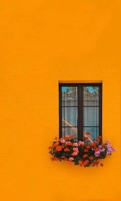 a yellow building with two windows and flowers in the window