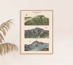 there are three different mountains in the picture and one is on the wall next to a potted plant