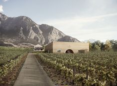 an artist's rendering of a house in the middle of a vineyard with mountains in the background