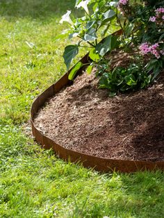 a garden bed in the middle of some grass