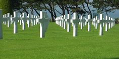 rows of white crosses in the grass near trees