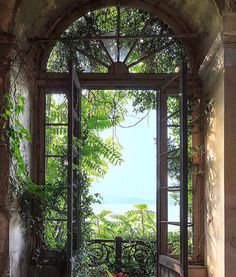 an open door leading into a lush green garden