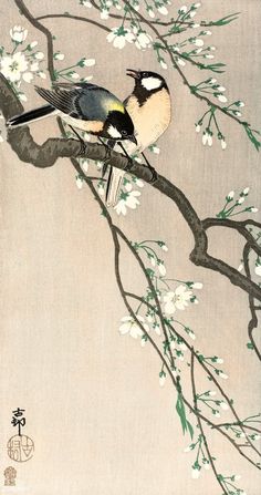 a bird sitting on top of a tree branch next to white and green flowers,