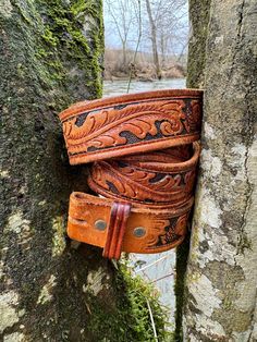 a brown leather belt is attached to a tree trunk with moss growing on the bark