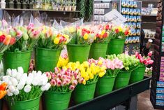 many colorful tulips in green buckets on display at a flower shop for sale