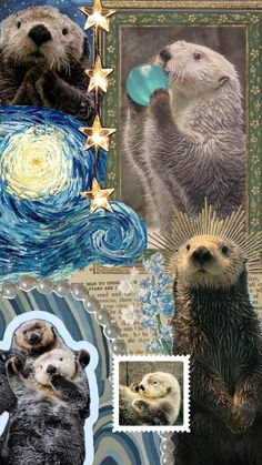 an image of otters and starrdust