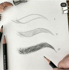 someone is drawing different types of eyebrows with pencils