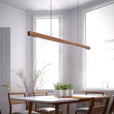 a dining room table with chairs and a plant in the center, next to an open door