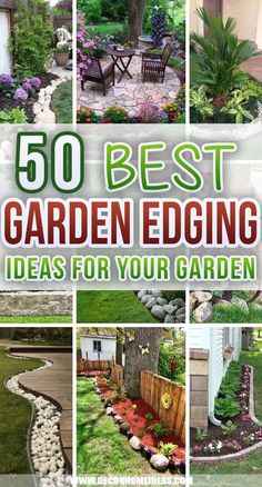 the best garden edging ideas for your garden with pictures of different plants and trees