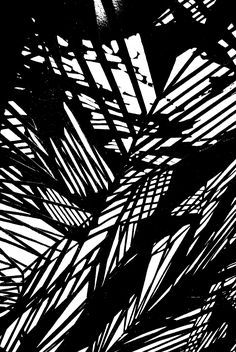 black and white photograph of palm leaves with sunlight coming through the top part of them