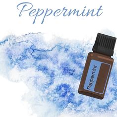 Peppermint Essential Oil