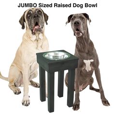 two dogs sitting next to each other in front of a table with a dog bowl on it