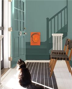 a cat sitting on the floor in front of an open door looking into a green room