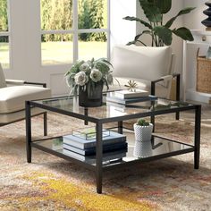 a living room with two couches and a coffee table in front of a window