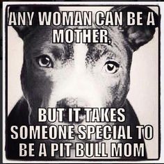 a black and white poster with a dog saying, any woman can be a mother but it takes someone special to be a pitbull mom