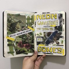 a hand holding an open book with pictures of birds and plants on it's cover