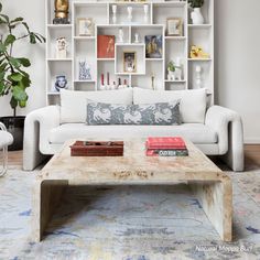 a living room with a couch, coffee table and bookshelves on the wall