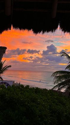 the sun is setting over the ocean with palm trees