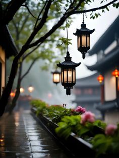 lanterns hanging from the side of a building with flowers growing in front of them on a rainy day