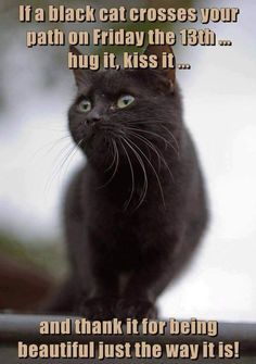 a black cat sitting on top of a table next to a caption that reads, if a black cat crosses your path on friday the 13th hug it, kiss it and thank for being beautiful just the way it