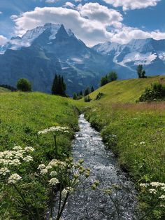 a small stream running through a lush green field with mountains in the backgroud