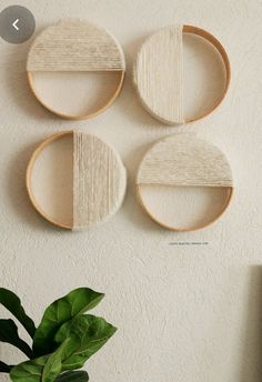 three circular wooden shelves mounted on the wall next to a potted plant in front of a white wall