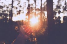 a person holding their hand up to the sun in front of some trees and grass