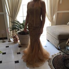 Gold Evening Gown . Brand New With Tags. Champagne Fitted Gown For Prom, Champagne Strapless Evening Gown, Gold Fitted Long Dress Gown, Fitted Champagne Floor-length Gown, Champagne Strapless Fitted Gown, Gold Evening Gown, Dresses Outfits, Dresses Dresses, Background Wallpaper