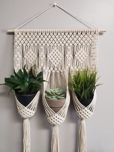 three hanging planters with succulents and plants in them on a wall