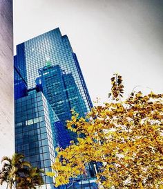 the tall building has many windows on it's sides and is surrounded by palm trees