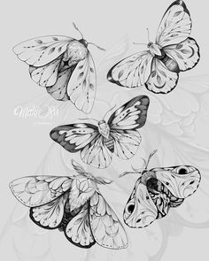 four butterflies flying in the air with their wings spread out to look like they are floating