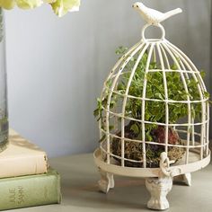 a white birdcage filled with plants on top of a table next to a book