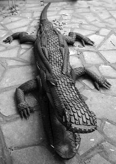 black and white photo of an alligator laying on the ground