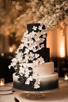 Ready to make your wedding day glamorous? Check out these 35 luxurious black and white wedding cakes. Featuring opulent details and high-end finishes, these cakes are made to impress. See the full collection! #luxurywedding #glamwedding #weddingcakeinspo Wedding White And Black Theme, Black White And Navy Wedding, Black And White Wedding Palette, Black White And Gold Wedding Cake, Black And White Wedding Theme Decor, All Black Wedding Reception, White And Black Wedding Cake, Black And Wedding, White And Black Wedding Theme