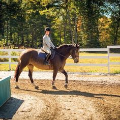 a woman riding on the back of a brown horse next to a white fence and trees