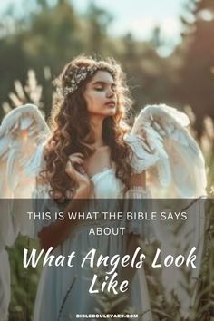 What Does the Bible Say About What Angels Look Like? Halo Figures, Angels Bible, Entertaining Angels, Fallen Angels, Christian Traditions, Fall From Grace