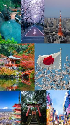 many different pictures are shown together in this collage, including the flag and trees