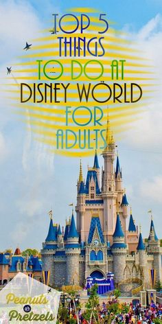 the top things to do at disney world for adults