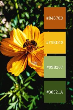 a yellow flower with the words b4570d fsdi897